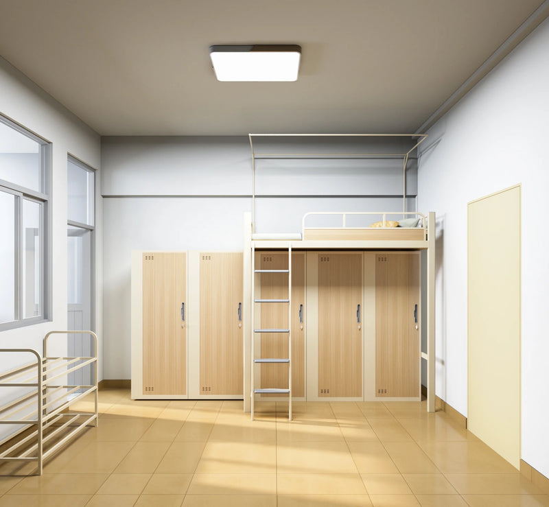 Dormitory bed with wardrobe underneath the upper bunk（special)